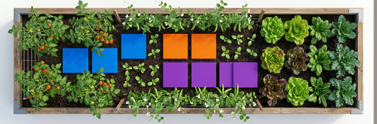 How to Plan Your Garden Layout with a Visual Planting Map