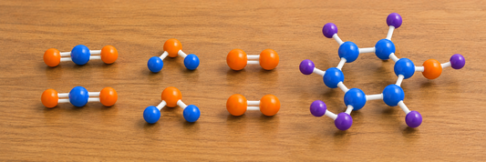 Teaching Photosynthesis and Respiration with Color-Coded Atom Tracking