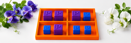 How to Teach Punnett Squares with Hands-On Genetics Manipulatives